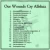 Our Wounds Cry Alleluia (18 set) - Image 2